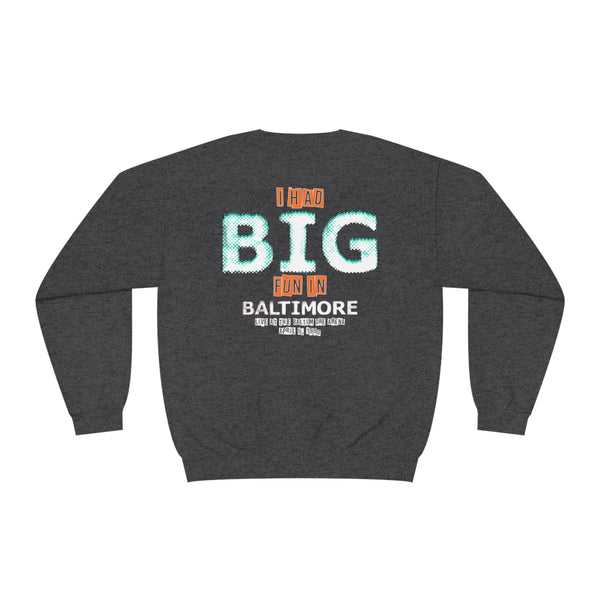 BIG Fun Sweatshirt