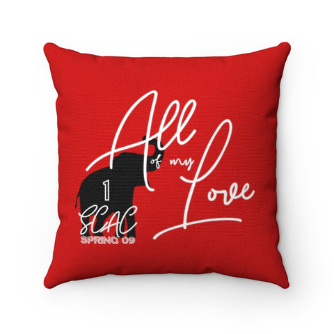 AOML Pillow
